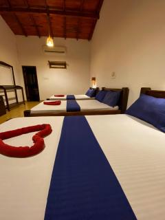 Oasis Bay - Arugam Bay - Arugam Bay - 1