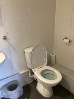 The white hart hotel - Shefford - 5