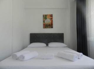 Chrysi petra apart - Gokceada Town - 8