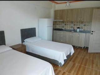 Chrysi petra apart - Gokceada Town - 7
