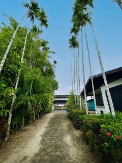 Spacious villa with Private Pool - Paramaribo - 9