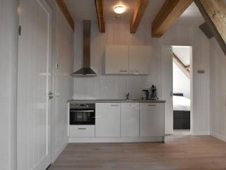 Studio Hazenborgh in Callantsoog near the sea - Callantsoog - 4