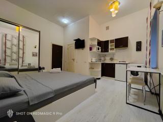 Studio near The Golden Gates - Kyiv - 5