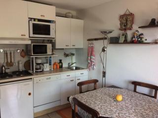 Chalet D'honorÉ - 2 pièces 4 pers face aux pistes MAE-7714 - 6