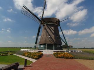 Spacious Holiday Home in the Beemster near a Windmill - Middenbeemster - 6