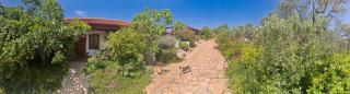 Ionia Guest House - Aydın - 4