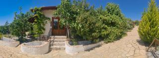 Ionia Guest House - Aydın - 9