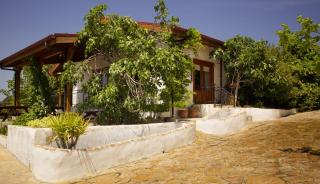 Ionia Guest House - Aydın - 5