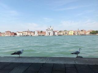 Loft Soleil - Venice - 5