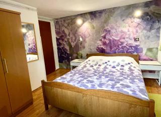 Villa Millefiori - Apartments Mali Lošinj - 0