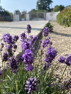 Relais Green Paradise - Apice - 7