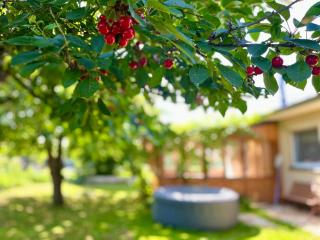 Art gallery near Pardubice - - 0