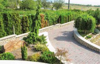 Holiday home in Balatongyörök 40844 - Balatongyörök - 2