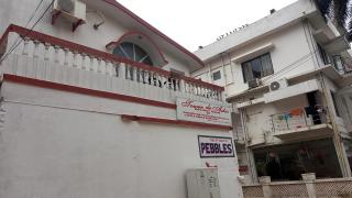 pebbles - Digha - 7