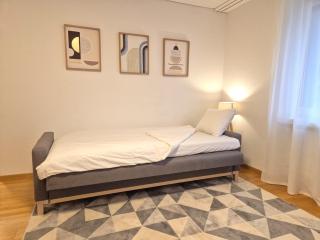 Apartment for 3, close to Zurich and Luzern, free private parking - Wohlen - 5