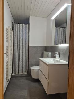 Apartment for 3, close to Zurich and Luzern, free private parking - Wohlen - 6