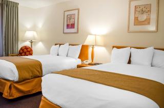 Super 8 by Wyndham New Cumberland - 8