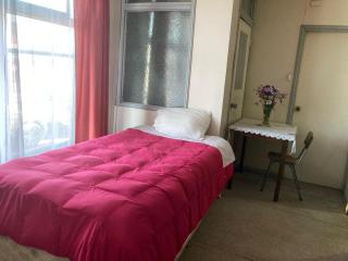 Hostal en Valdivia - Valdivia - 0