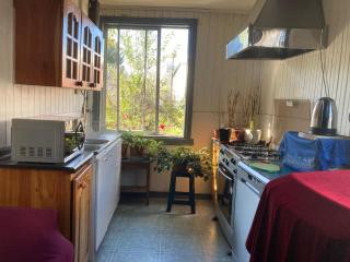 Hostal en Valdivia - Valdivia - 5