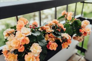!NEW! Lakeview stay, stunning sunrises - Liepāja - 6