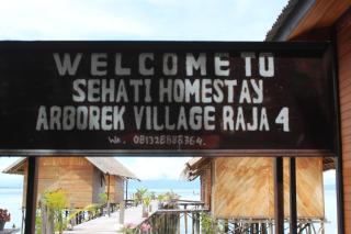 Sehati Homestay - Raja Ampat - Besir - 8