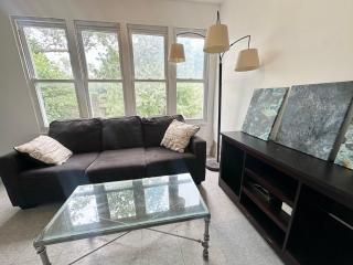 Fantastic Place Near Downtown - Free Parking - Chicago - 0
