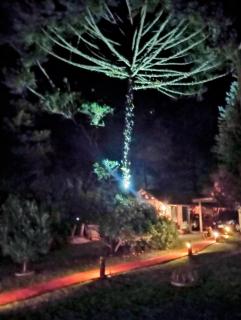 Casa de toras - Campo Alegre - 1