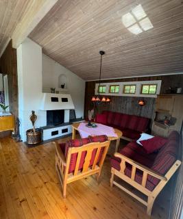 Cozy lakeside cabin - Lii - 9