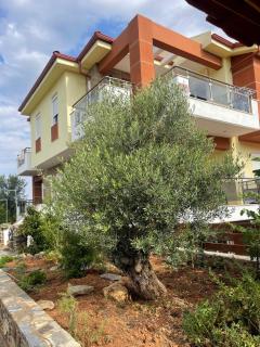 Victoria House - Poligiros - 9