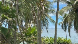 Studio Le Frangipanier au Gosier avec plage - location Prestige Caraïbes - 8