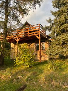 Przystań Felinów - Felinów - 3