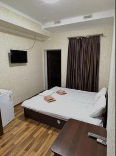 Hafiz Plaza Hotel - Tashkent - 0