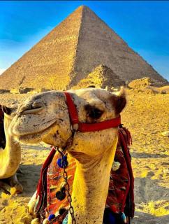New Khufu 9 Pyramids view - Il Cairo - 3