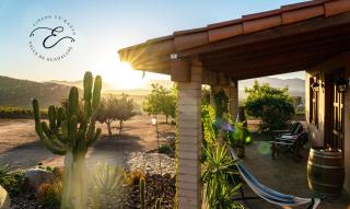 En'kanto Valle de Guadalupe - San Marcos - 8