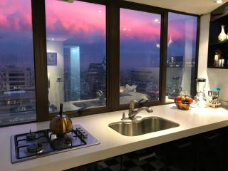 Duplex Penthouse El Golf 263 - Santiago - 1