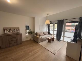 Studio lumineux 45m2 - Annemasse - 0