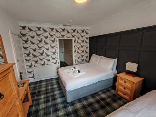 The Grapes Hotel - Newcastleton - 1