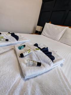 The Grapes Hotel - Newcastleton - 5