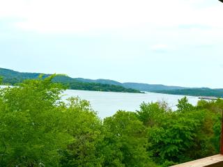 Lakefront and Lake View Indian Point Condo with Boat Slip - Branson - 6