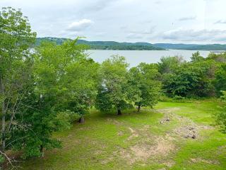 Lakefront and Lake View Indian Point Condo with Boat Slip - Branson - 3