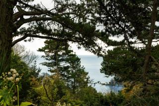 Salcombe Retreat - Salcombe - 1