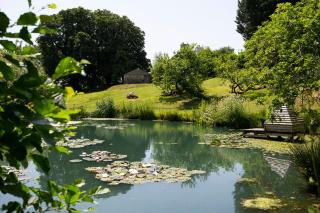 Landscove House - Woodland - 2