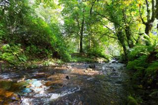 Argyll House - Colintraive - 8