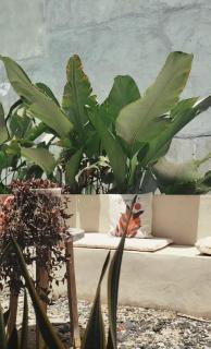 Country house - - 1