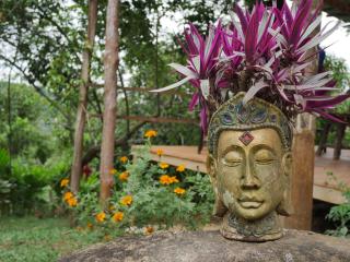 Hostal El Silencio Vivo - 2