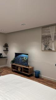 أستديو مريح وهادىء بدخول ذاتي - 0