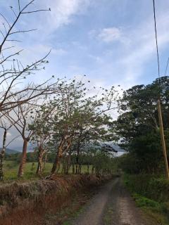 Beautiful house with a view - Tilarán - 6