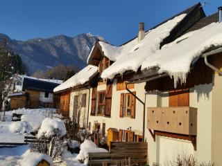 Mansion in Albertville near Ski Slopes, cleaning included - Mercury - 0