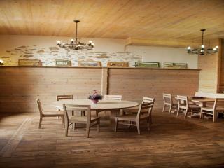 Mansion in Albertville near Ski Slopes, cleaning included - 2