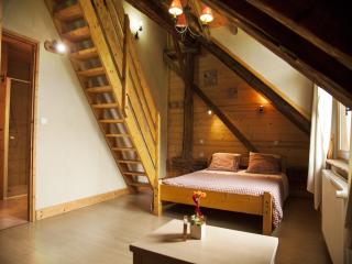 Mansion in Albertville near Ski Slopes, cleaning included - Mercury - 4